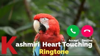 Kashmiri Heart Touching Ringtone  Kashmiri Ringtone  Ringtone Download link in the description👇 [upl. by Kinom]