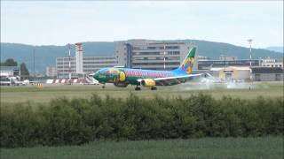 EuroAirport BaselMulhouseFreiburg [upl. by Suoilenroc546]