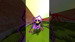 CAN YOU CATCH PIGEON BEAR POPPY PLAYTIME SMILING CRITTER PERFECT OUTLINE in GARRYS MOD MEME [upl. by Israeli562]