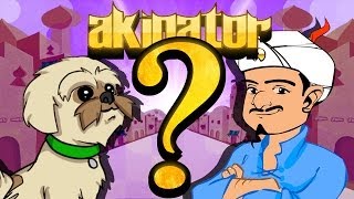 Can Akinator Guess Gryphon [upl. by Amaral961]