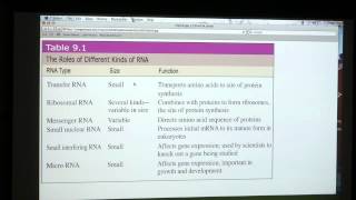 15 BB 350 Nucleic Acids II  Kevin Aherns Biochemistry Online [upl. by Liagabba]