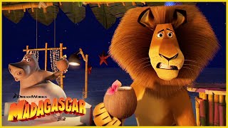 ¡¿Llamas a eso comida  DreamWorks Madagascar en Español Latino [upl. by Rip]