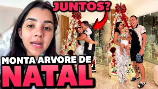 ARY MIRELLE MONTA ARVORE DE NATAL E FAZ VIAGEM COM JOÃO GOMES [upl. by Gudren466]