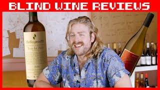 Incredible Amber Wine amp Fiano That Will Rock Your Soul🍊 Blind Wine Reviews [upl. by Ynot400]