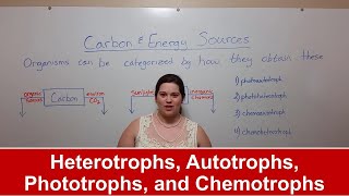 Heterotrophs Autotrophs Phototrophs and Chemotrophs [upl. by Cirtap]