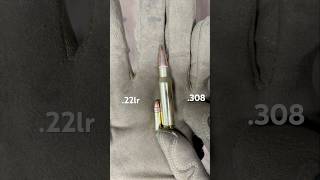 22lr vs 308 Size Comparison [upl. by Winwaloe]