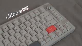 cidoo v75 build  sound tests  cidoo matte switches [upl. by Balliett441]