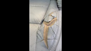 DIY  leather car seat repair pt 1 [upl. by Feucht155]