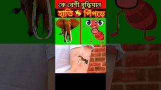 হাতি🆚 পিঁপড়ে❗Elephant 🆚 ant comparison shrts youtubeshorts viral [upl. by Selohcin66]