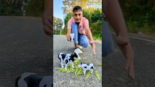 Big and Small Remote Control Cow 🐄 unboxing 🔥 [upl. by Cutcheon242]