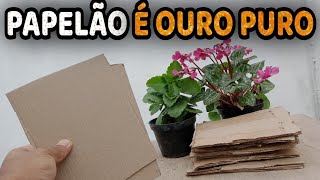 Aplique Papelão em Suas Plantas e Veja o que Acontece Vale Ouro para Suas Plantas [upl. by Atterahs612]