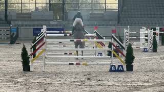 Aida Fox Aachen 12 yo mare by Arpeggio x Zeus placed up to 145 [upl. by Mac]