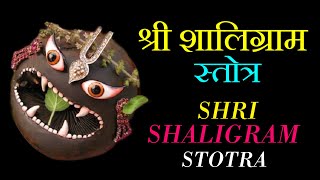 श्री शालग्राम स्तौत्रं Shri Shalagram Stotram पुरूषोत्तम मास मंत्र Sri Salagram Puja [upl. by Celestina247]