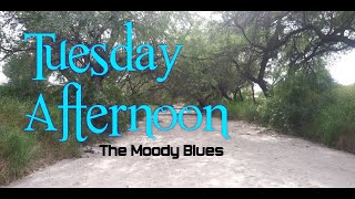 Moody Blues  Tuesday Afternoon LYRICS [upl. by Schapira]