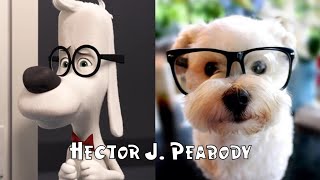 Mr Peabody amp Sherman in Real Life [upl. by Suirad]