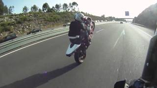 Wheelie CBR 600 RR 2008 [upl. by Haggi421]