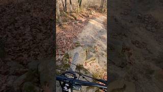 YT DECOY core 4 emtb emtblife downhillmtb [upl. by Jammin]