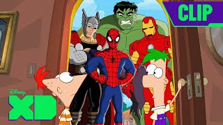 Phineas and Ferb 411 Clip Phineas and Ferb Mission Marvel Part 1disneyxd​ [upl. by Ednew575]