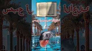 Sabbe hisma Rabbe Kal shorts islamic alquran quran reels surahalala viralvideo trending [upl. by Clemmie]