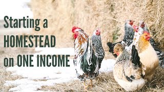 Starting a HOMESTEAD on ONE Small Income [upl. by Gebler600]