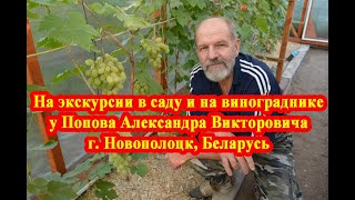 На экскурсии в саду и на винограднике у Попова Александра Викторовича гНовополоцк север Беларуси [upl. by Dittman]