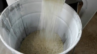 Start a small scale rice processing business 1000kg per hour complete rice mill machine [upl. by Liebowitz]