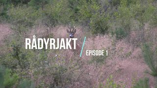 Rådyrjakt Episode 1 [upl. by Akins]