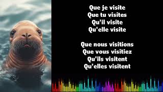 ♫ Japprends le français ♫ Conjugaison I VISITER I Subjonctif Présent [upl. by Hepsoj775]