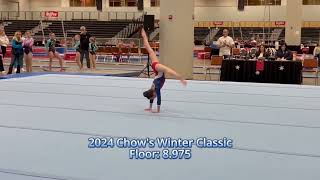 Sophias Floor Routine at Chows Winter Classic  USAG Level 4  Des Moines Iowa  Score 8975 [upl. by Alisa34]