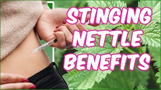 Stinging nettle benefits [upl. by Tabina738]