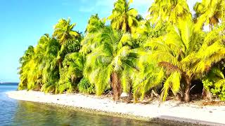 Tetiaroa French Polynesia  Afternoon boat ride 2023 Oct 06 [upl. by Asserak]