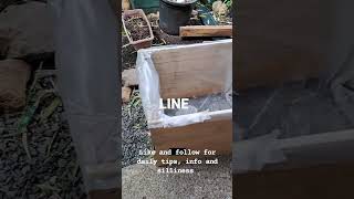 how to make wicking beds look at the bottom reservoir shorts youtubeshorts newshorts [upl. by Grogan]