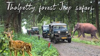 tholpetty forest jeep safari  wayanad wild life sanctuary  Rain tree resort wayanad  Kerala [upl. by Frolick849]