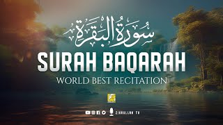 Surah Al Baqarah Full سورة البقره Beautiful Voice Heart Touching Quran Recitation  Zikrullah TV [upl. by Noelopan148]