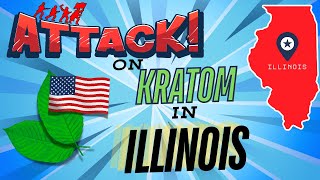 The Kratom Gals  Kratom Under Attack in IL amp Celebrating Misty Browns BDay [upl. by Annekam]