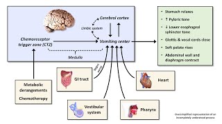 An Approach to Acute Nausea and Vomiting [upl. by Melessa]