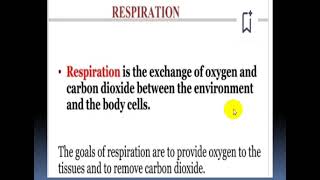 Respiratory Physiology  Introductory Class [upl. by Painter562]