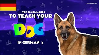 Teach Your Dog Commands In German 20 Common Words [upl. by Eciruam]