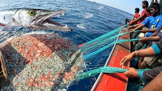 Trawling Boats and DeepSea Fishing  Fishing Latest Videos KadalTv [upl. by Hatti]