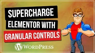 Supercharge ELEMENTOR with Granular Controls Plugin [upl. by Atikihs386]