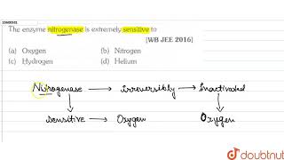 The enzyme nitrogenase is extremely sensitive to [upl. by Kannav]