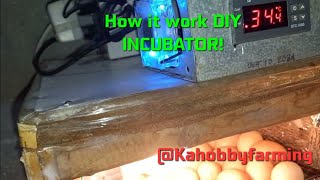 How it Works  DIY INCUBATOR  Setting Monitoring [upl. by Einnel501]