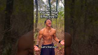 Pencak Silat vs MMA pencaksilat shorts [upl. by Ahsiekram490]