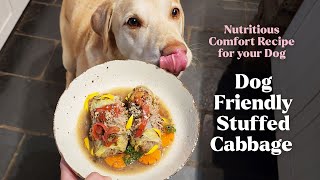 Homemade Dog Food Recipe 🐶 Nutritious Comfort Meal Dog Friendly Stuffed Cabbage [upl. by Kant307]