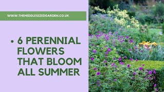 6 perennial flowers that bloom all summer  plus a bonus plant [upl. by Assetan]