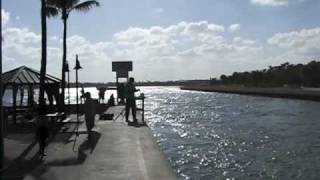 boynton inlet fishing [upl. by Valerio]