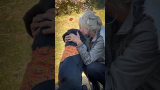 Koda Loves Kisses from His Grandma dogfriend blacklab cute farmlife babybella [upl. by Sydney]