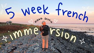 how 5 weeks french immersion changed my life [upl. by Gavrila263]