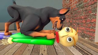 BALDIS DOG Baldis Basics Animation and Meme Compilation [upl. by Rafaellle]