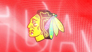 Chicago Blackhawks 2025 Goal Horn 🚨 [upl. by Ykcul653]